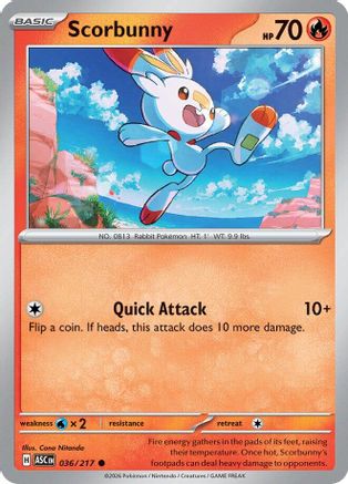 Scorbunny 036/217  - Reverse Holofoil ME Ascended Heroes - Common-1