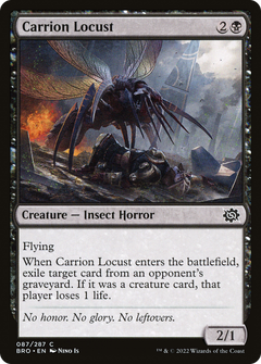 Carrion Locust [The Brothers' War]-1