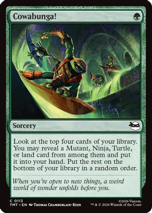 Cowabunga! [Teenage Mutant Ninja Turtles]-1