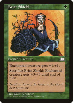 Briar Shield [Weatherlight]-1