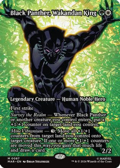 Black Panther, Wakandan King (Borderless) (MAR-087) - Marvel Universe Eternal-Legal Foil-1