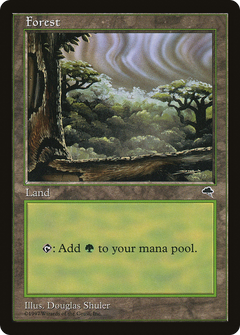 Forest (Sky Visible Top Right) [Tempest]-1