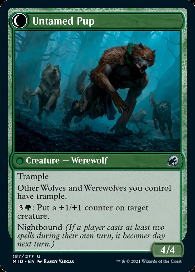 Hound Tamer // Untamed Pup [Innistrad: Midnight Hunt]-2