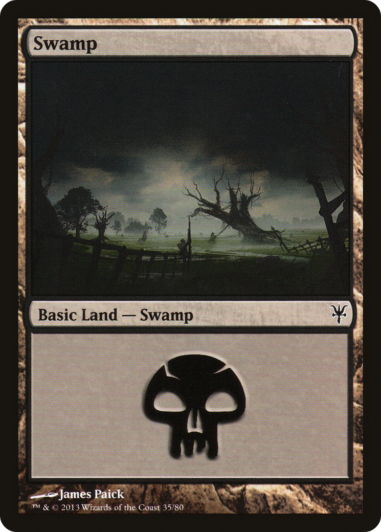 Swamp (35) [Duel Decks: Sorin vs. Tibalt]-3