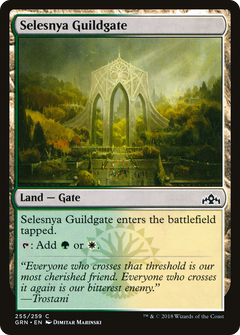 Selesnya Guildgate (255/259) [Guilds of Ravnica]-1