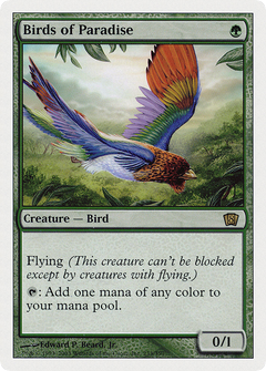Birds of Paradise [Eighth Edition]-1