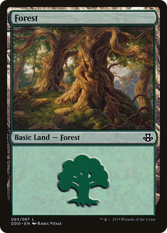 Forest (65) [Duel Decks: Elspeth vs. Kiora]-1
