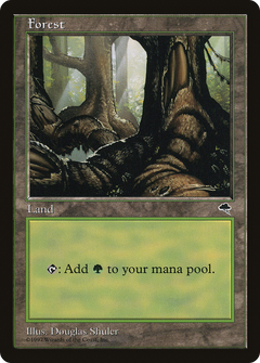 Forest (Large Roots) [Tempest]-1