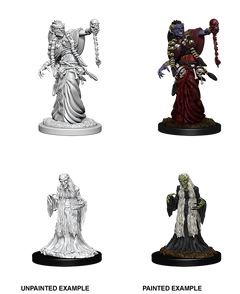 D&D Nolzurs Marvelous Unpainted Miniatures Green Hag & Night Hag