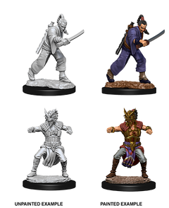 D&D Nolzurs Marvelous Unpainted Miniatures Male Human Monk