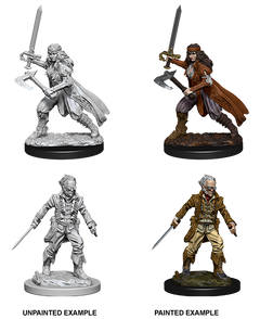 D&D Nolzurs Marvelous Unpainted Miniatures Vampire Hunters