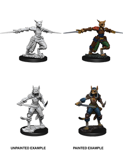 D&D Nolzurs Marvelous Unpainted Miniatures Female Tabaxi Rogue