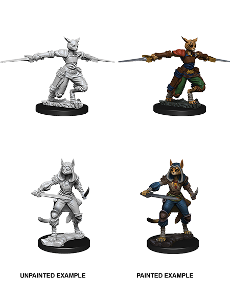 D&D Nolzurs Marvelous Unpainted Miniatures Female Tabaxi Rogue
