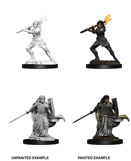 D&D Nolzurs Marvelous Unpainted Miniatures Female Human Paladin