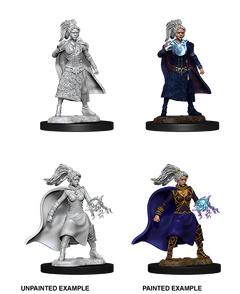 D&D Nolzurs Marvelous Unpainted Miniatures Female Human Sorcerer