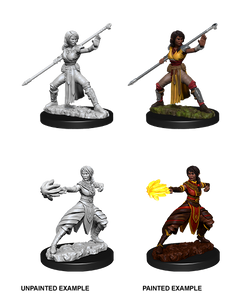 D&D Nolzurs Marvelous Unpainted Miniatures Female Half-Elf Monk