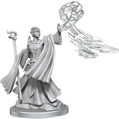 D&D Frameworks Elf Wizard Female