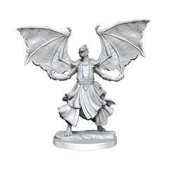 D&D Frameworks Dragonborn Sorcerer Female
