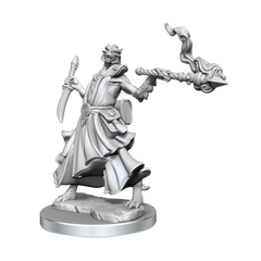 D&D Frameworks Dragonborn Sorcerer Female