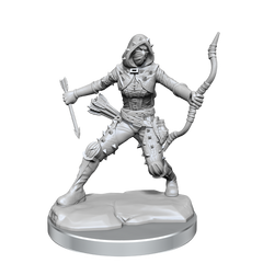 D&D Frameworks Human Rogue Female