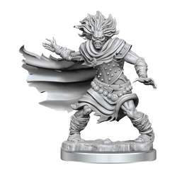 D&D Frameworks Wight