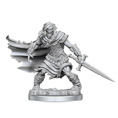 D&D Frameworks Wight