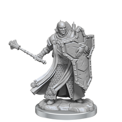 D&D Frameworks Human Cleric Male
