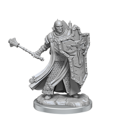 D&D Frameworks Human Cleric Male