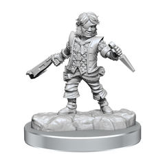 D&D Frameworks Halfling Rogue Male