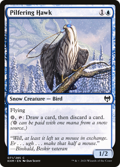 Pilfering Hawk [Kaldheim]-1