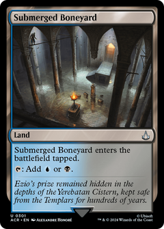 Submerged Boneyard [Assassin's Creed]-1