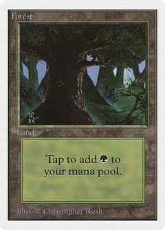 Forest (302) [Unlimited Edition]-1