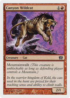 Canyon Wildcat [Eighth Edition]-1