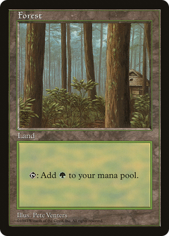 Forest (1) [Asia Pacific Land Program]-1
