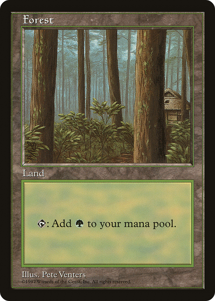 Forest (1) [Asia Pacific Land Program]-1