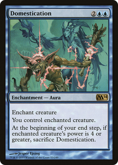 Domestication [Magic 2014]-1