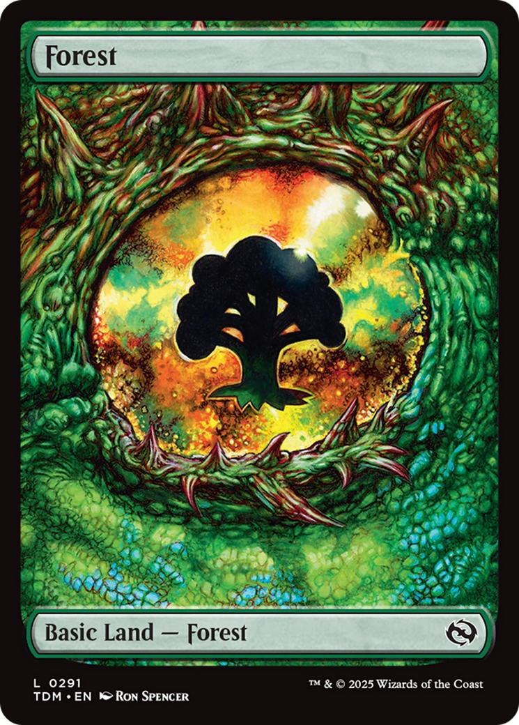 Forest (0291) [Tarkir: Dragonstorm]-1