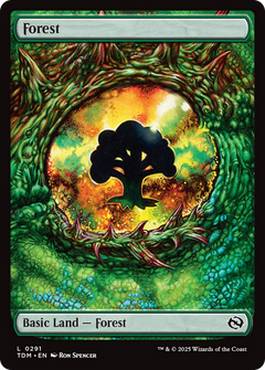 Forest (0291) [Tarkir: Dragonstorm]-1