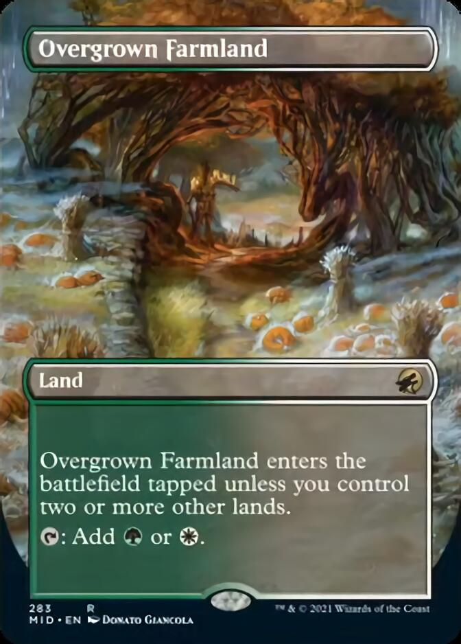Overgrown Farmland (Borderless Alternate Art) [Innistrad: Midnight Hunt]-1