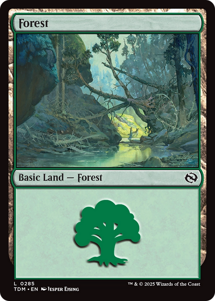 Forest (0285) [Tarkir: Dragonstorm]-1