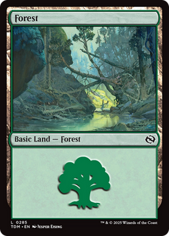Forest (0285) [Tarkir: Dragonstorm]-1