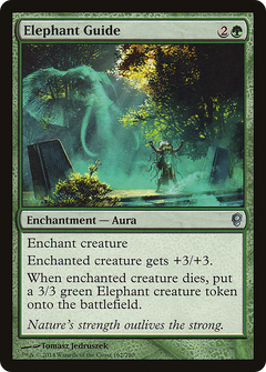 Elephant Guide [Conspiracy]-1