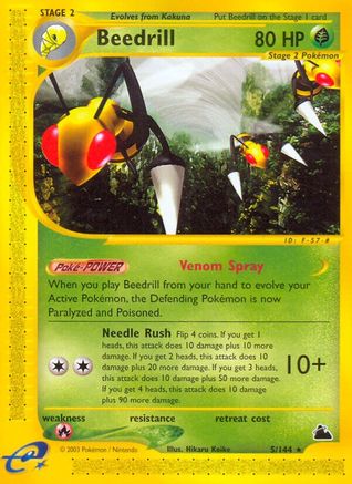 Beedrill (5/144) [Skyridge]-1