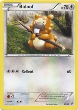 Bidoof (29/39) [XY: Kalos Starter Set]-1