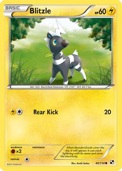 Blitzle (40/114) [Black & White: Base Set]-1