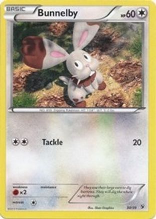 Bunnelby (30/39) [XY: Kalos Starter Set]-1