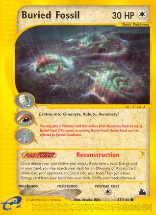 Buried Fossil (47/144) [Skyridge]-1