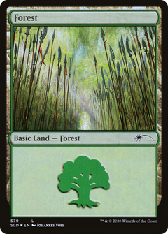 Forest (Elves) (579) [Secret Lair Drop Promos]-1