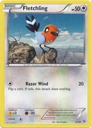 Fletchling (31/39) [XY: Kalos Starter Set]-1