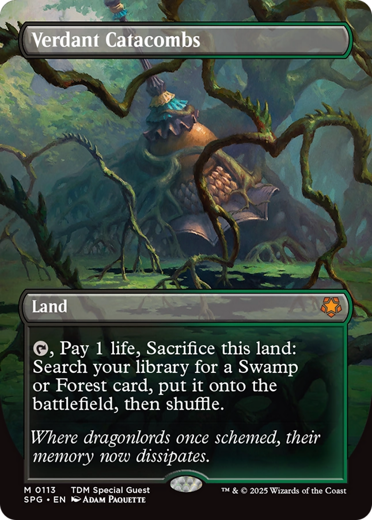Verdant Catacombs (Borderless) [Tarkir: Dragonstorm Special Guests]-1